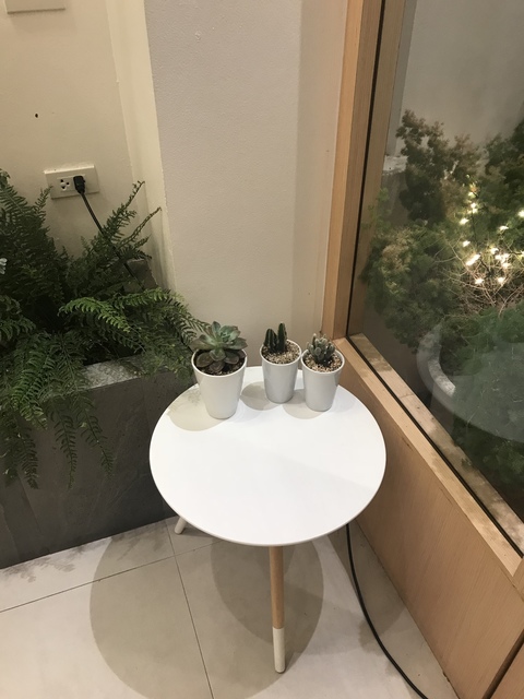 写真 2018-02-18 21 19 16.jpg