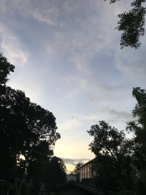 10852C05-1113-4C2F-A466-493081F189CA.jpeg