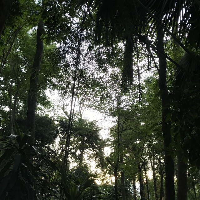 53664018-1D08-4800-8B73-0928BA05788F.jpeg