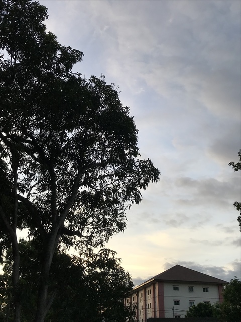 834880E2-498B-46DB-B87A-6C78079D502A.jpeg