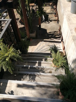 IMG_20181226_133500.jpg